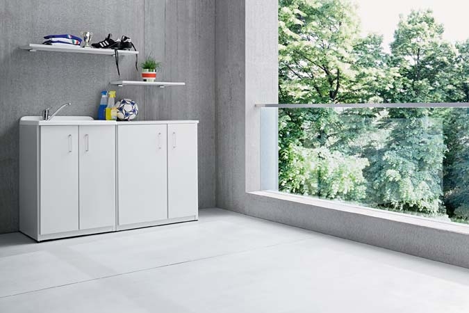 BIREX