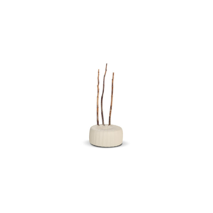FERULA