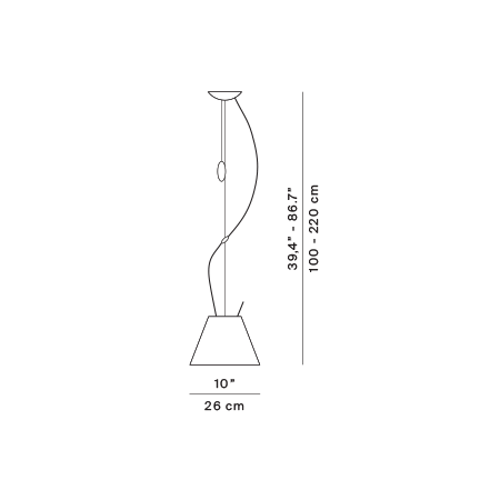Costanzina Suspension