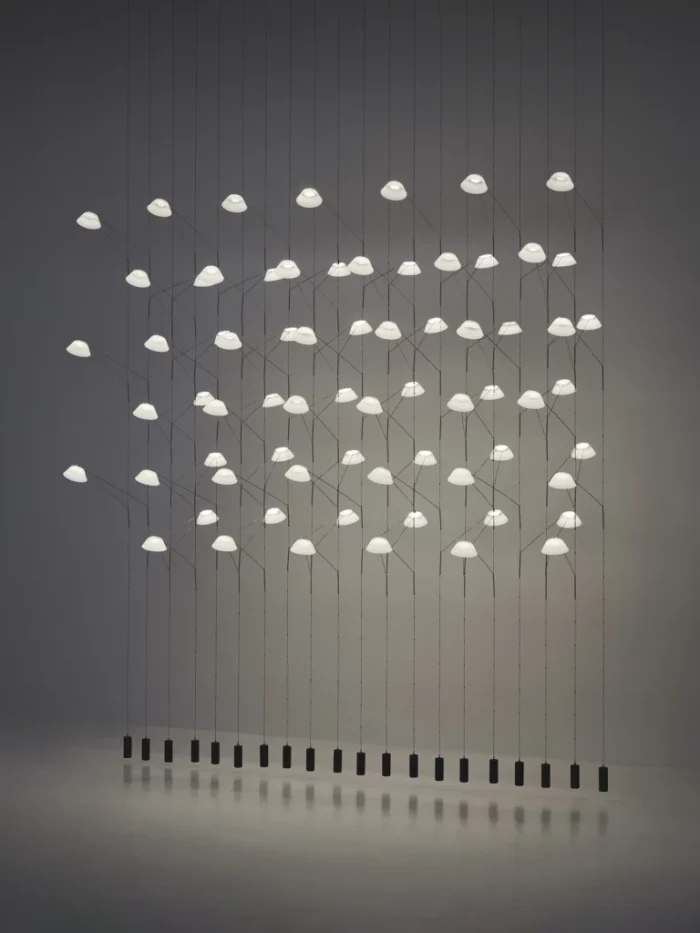 LIIU LIGHTING SYSTEM